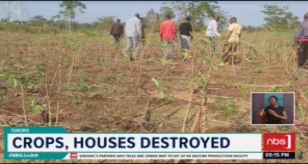 Five villages in Tororo district are counting losses after hailstorms coupled with a heavy downpour destroyed houses and several hectares of food crops.   At least 50 families will sleep in the open tonight after their houses were destroyed